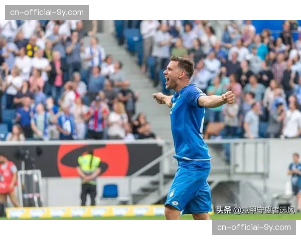 霍芬海姆1-2不敌美因茨，保级形势依然严峻